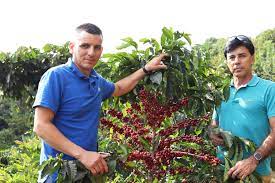 Costa Rica Tarrazu La Candelilla Estate (Subscription)