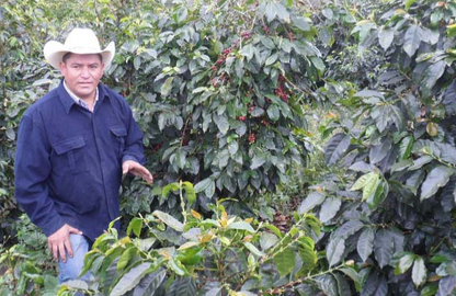 Honduras COMSA Natural Process - Organic- Fair Trade-Shade Grown (Subscription)