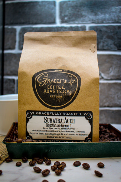 Sumatra Aceh Kokowagayo GR1